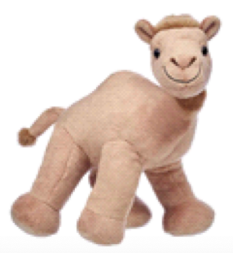 Camel