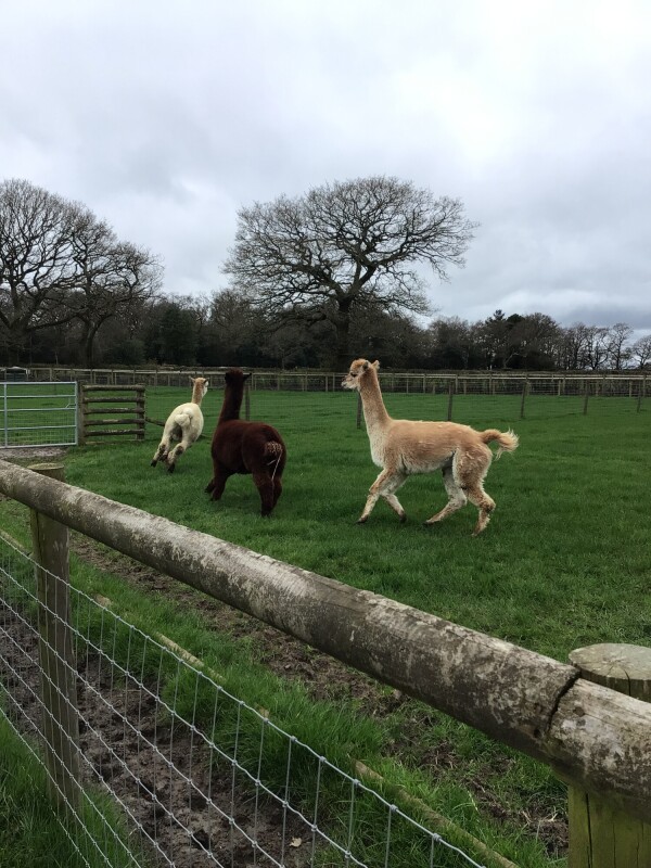 20260324 103100310 iOS