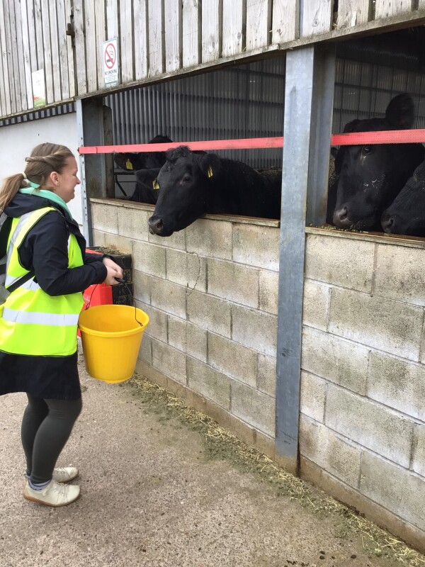 20260324 111821490 iOS