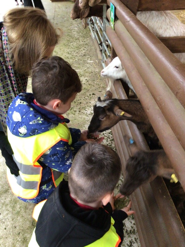 20260324 124345632 iOS